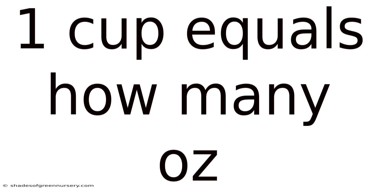 1 Cup Equals How Many Oz