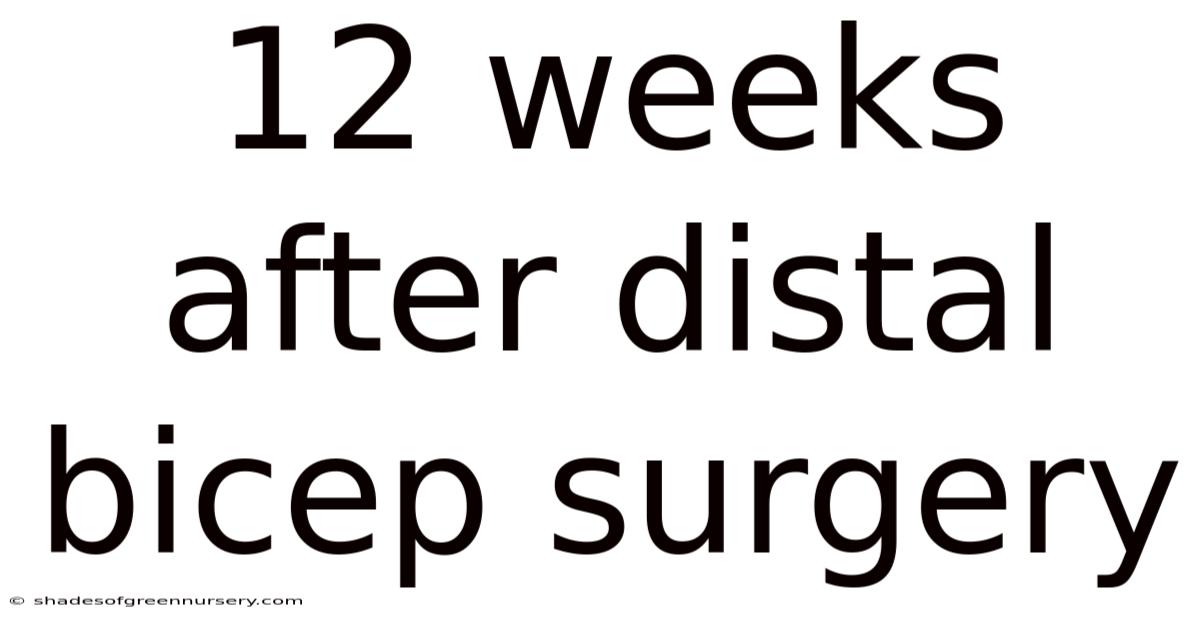 12 Weeks After Distal Bicep Surgery
