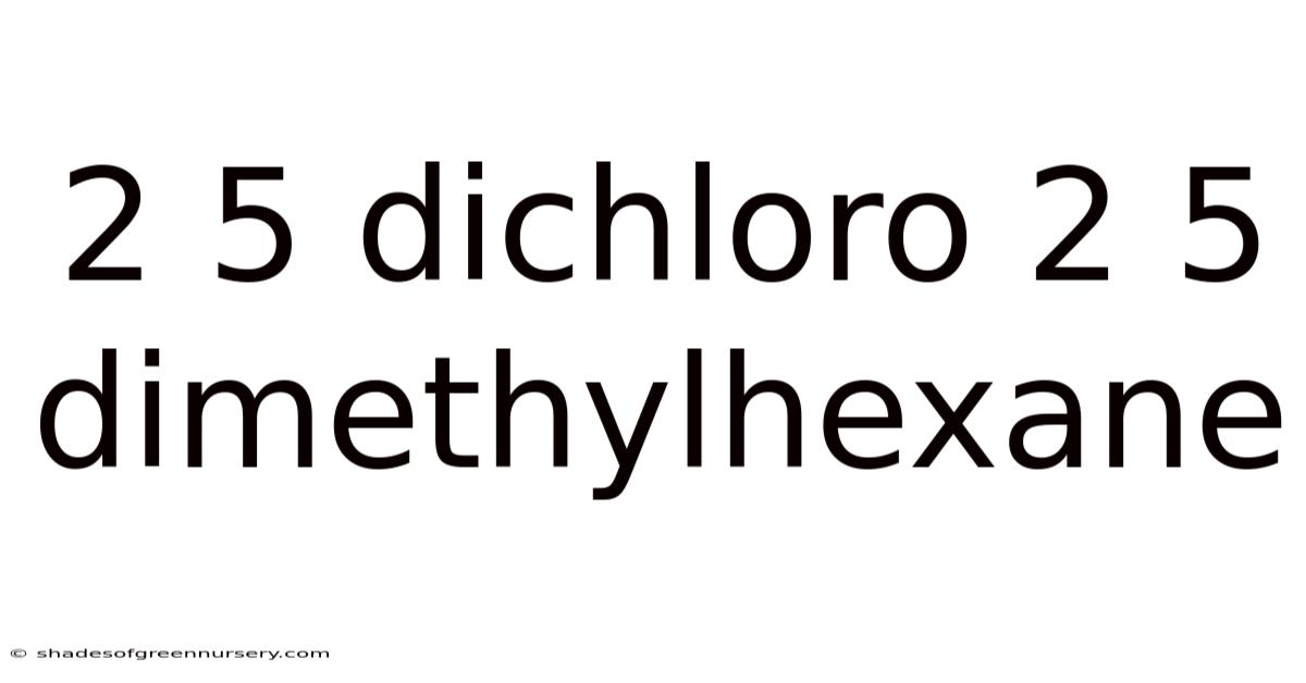 2 5 Dichloro 2 5 Dimethylhexane