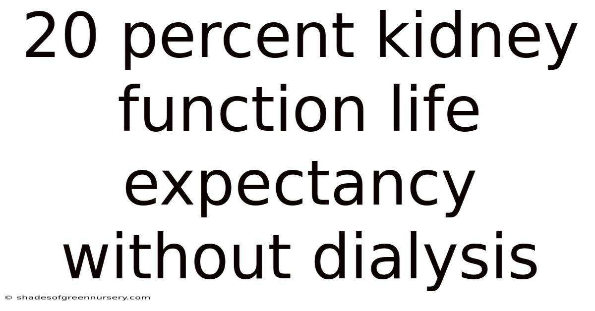 20 Percent Kidney Function Life Expectancy Without Dialysis