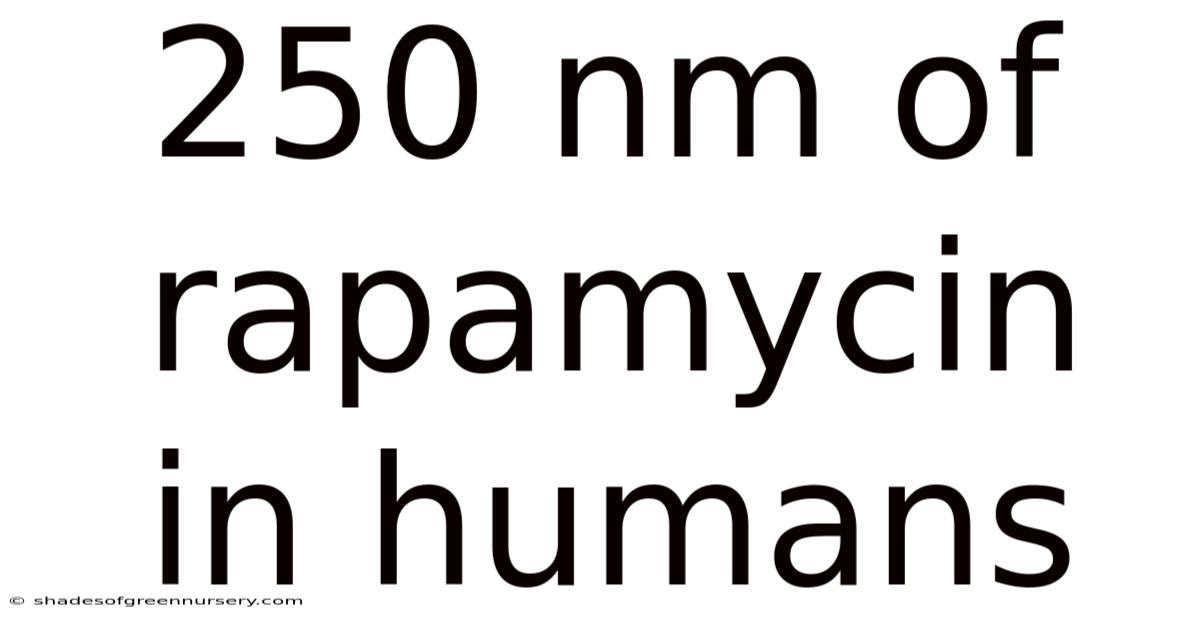 250 Nm Of Rapamycin In Humans