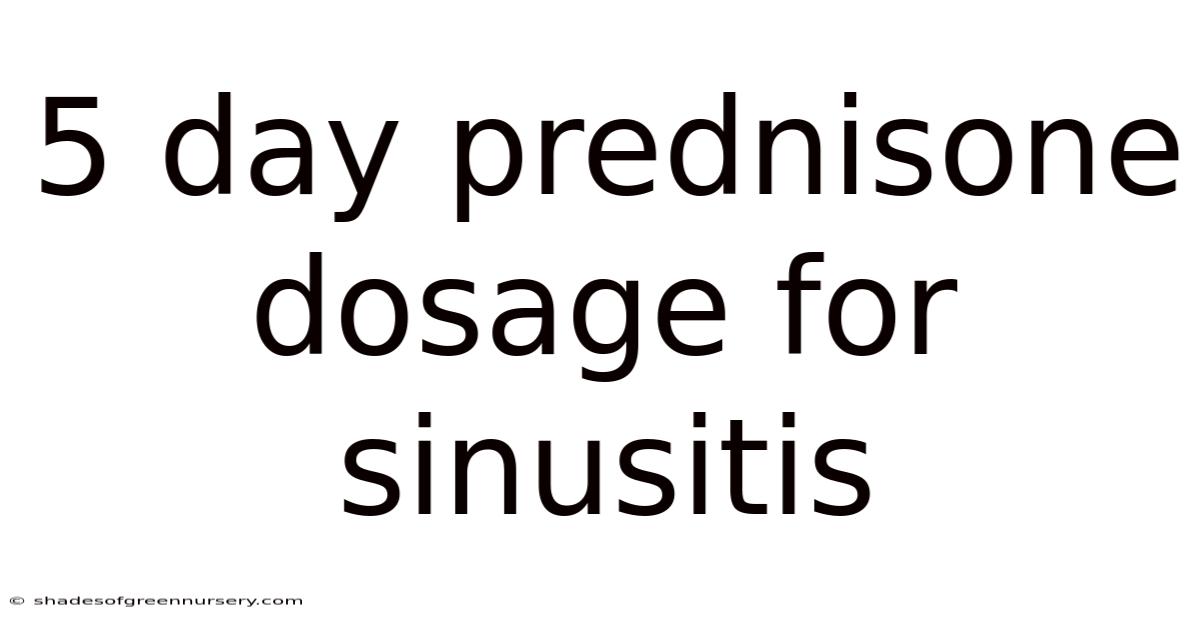 5 Day Prednisone Dosage For Sinusitis