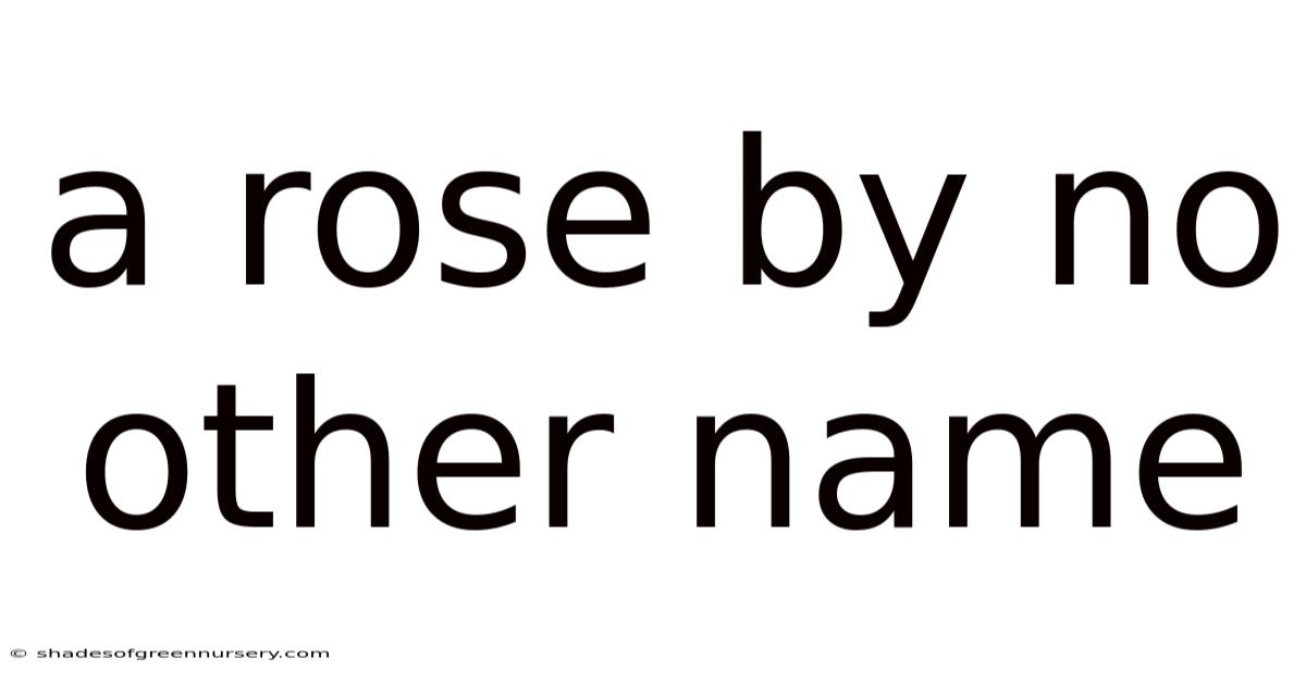 A Rose By No Other Name