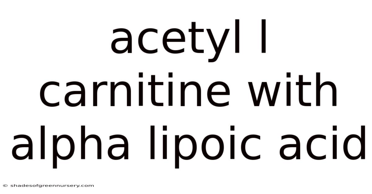 Acetyl L Carnitine With Alpha Lipoic Acid