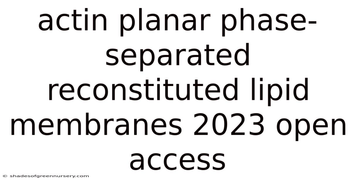Actin Planar Phase-separated Reconstituted Lipid Membranes 2023 Open Access