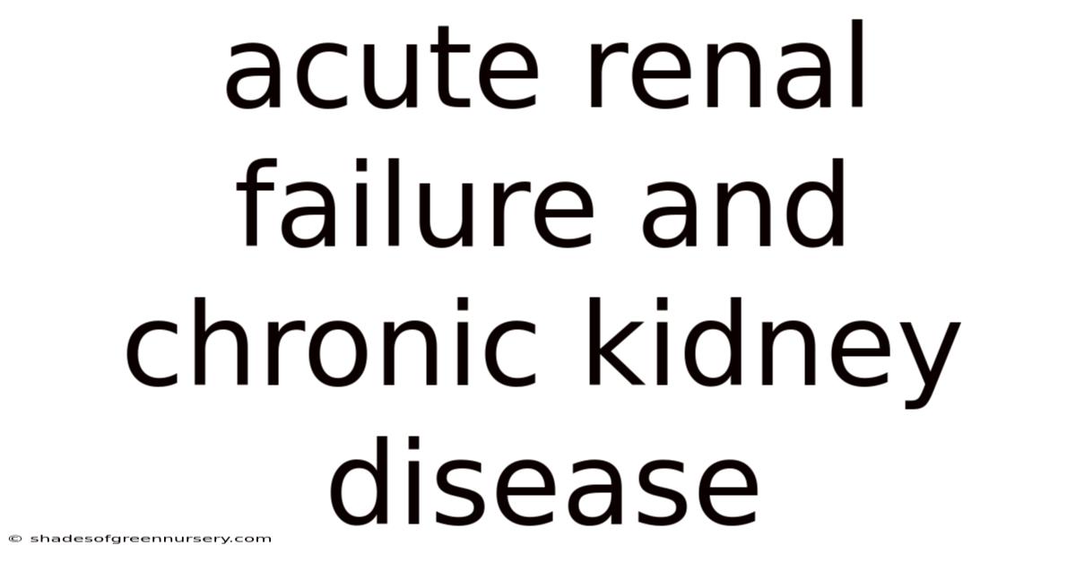 Acute Renal Failure And Chronic Kidney Disease