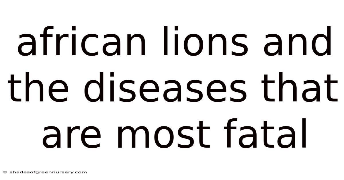 African Lions And The Diseases That Are Most Fatal