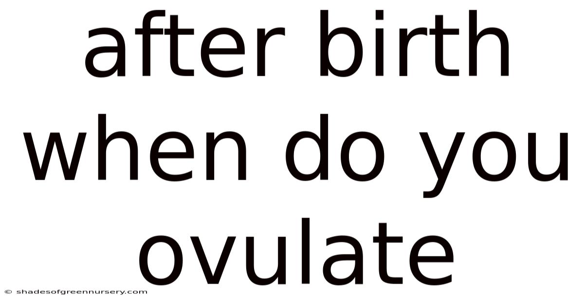 After Birth When Do You Ovulate