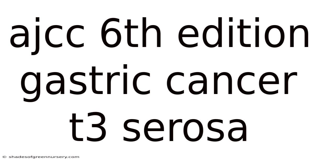 Ajcc 6th Edition Gastric Cancer T3 Serosa