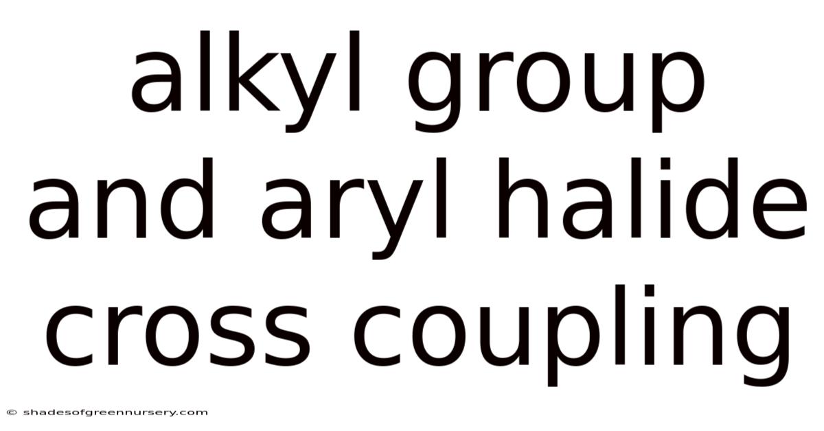Alkyl Group And Aryl Halide Cross Coupling
