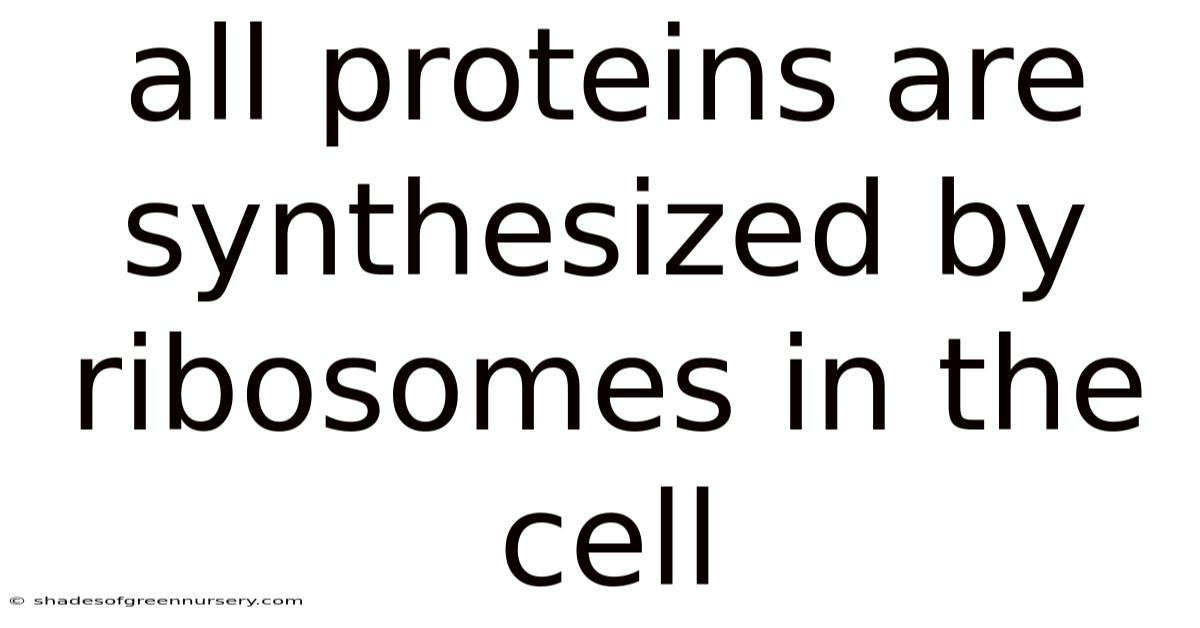 All Proteins Are Synthesized By Ribosomes In The Cell