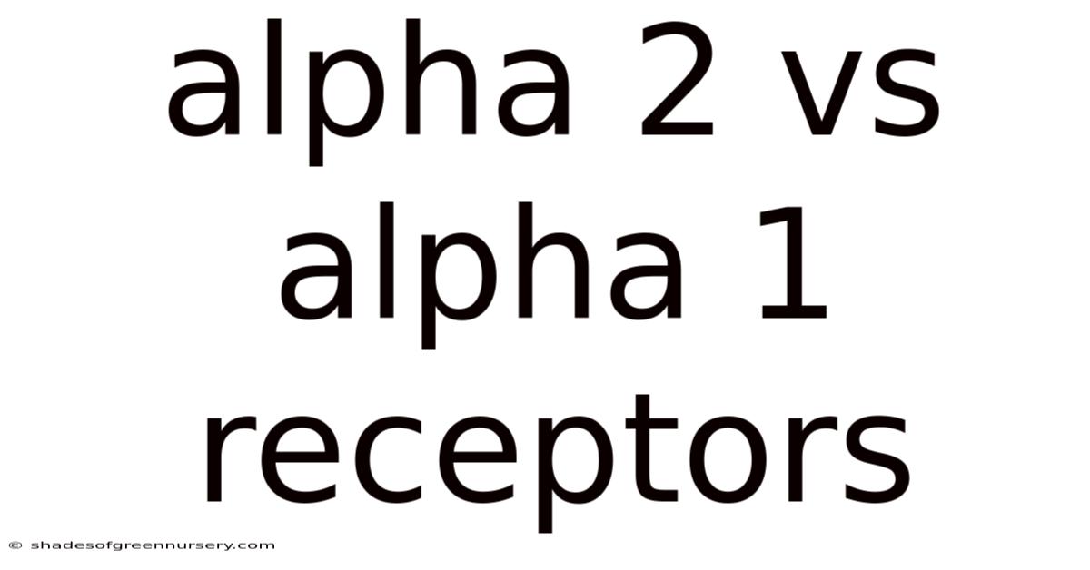 Alpha 2 Vs Alpha 1 Receptors