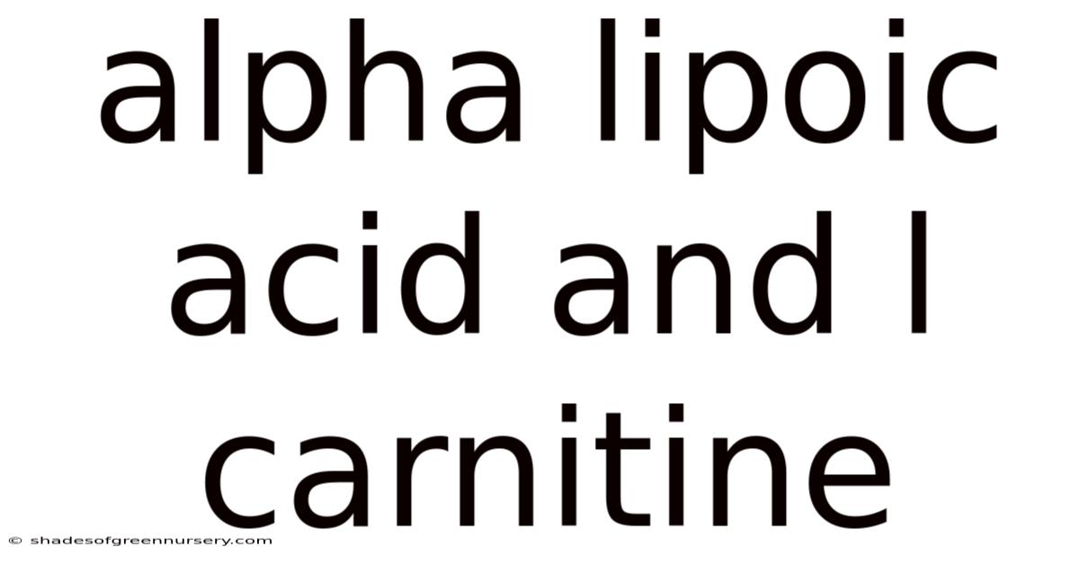 Alpha Lipoic Acid And L Carnitine