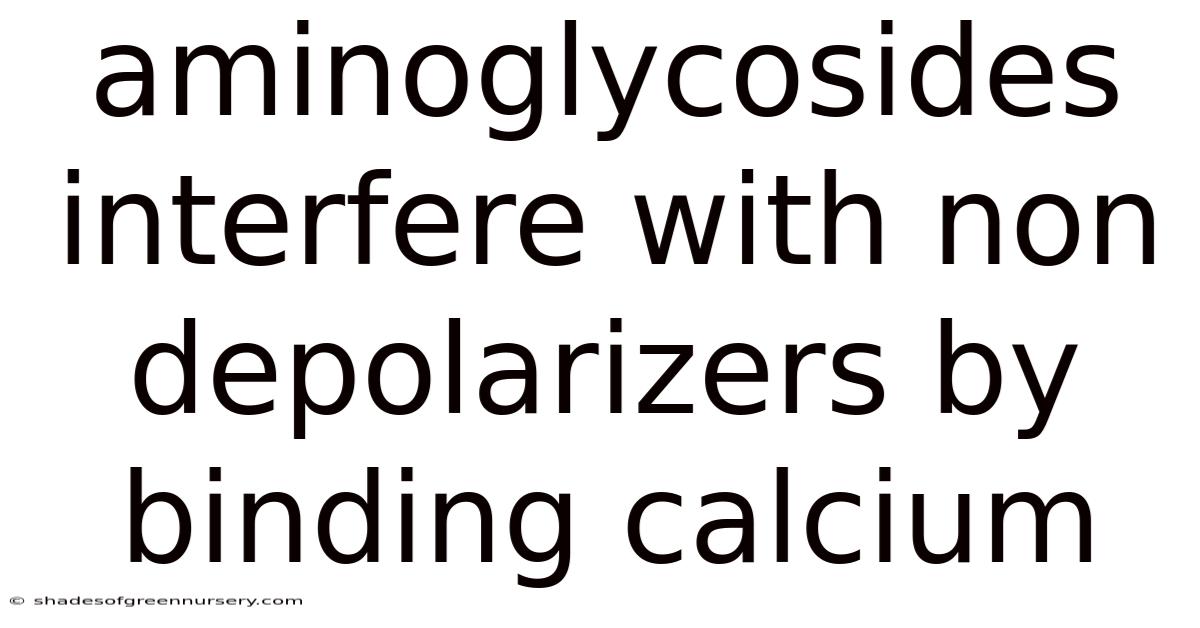 Aminoglycosides Interfere With Non Depolarizers By Binding Calcium