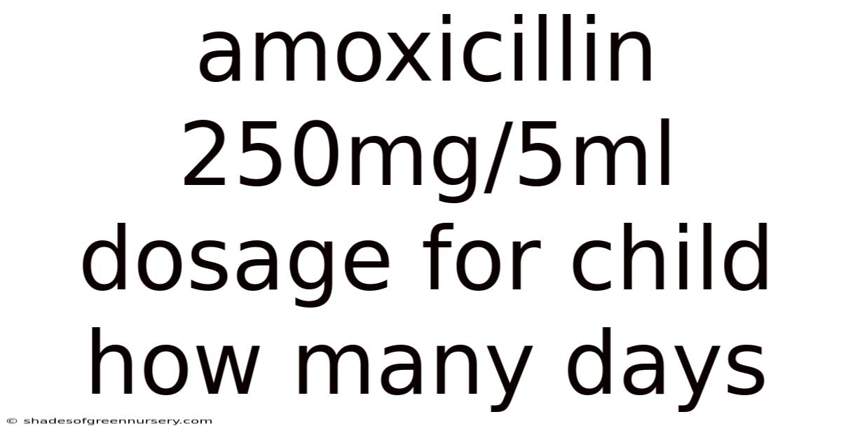 Amoxicillin 250mg/5ml Dosage For Child How Many Days
