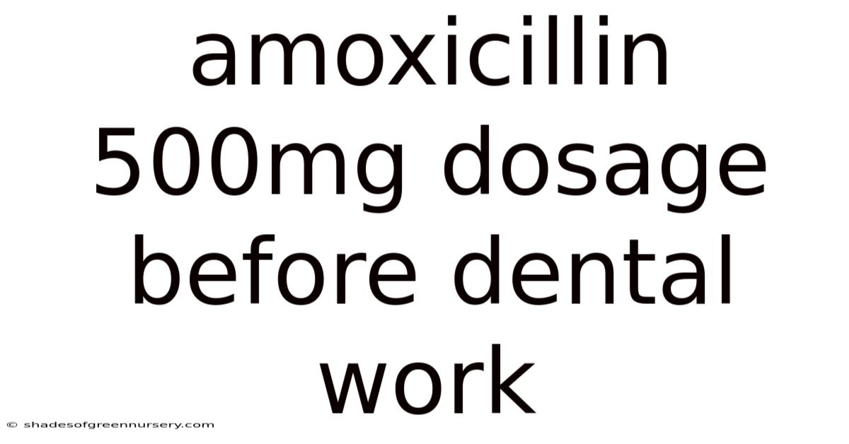 Amoxicillin 500mg Dosage Before Dental Work