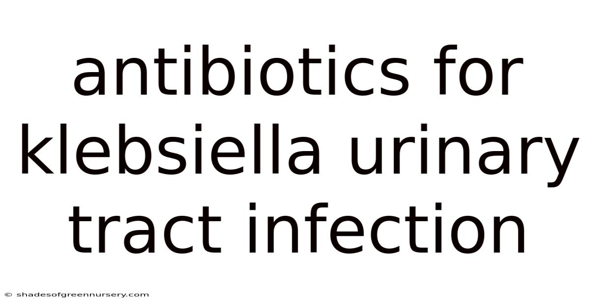 Antibiotics For Klebsiella Urinary Tract Infection