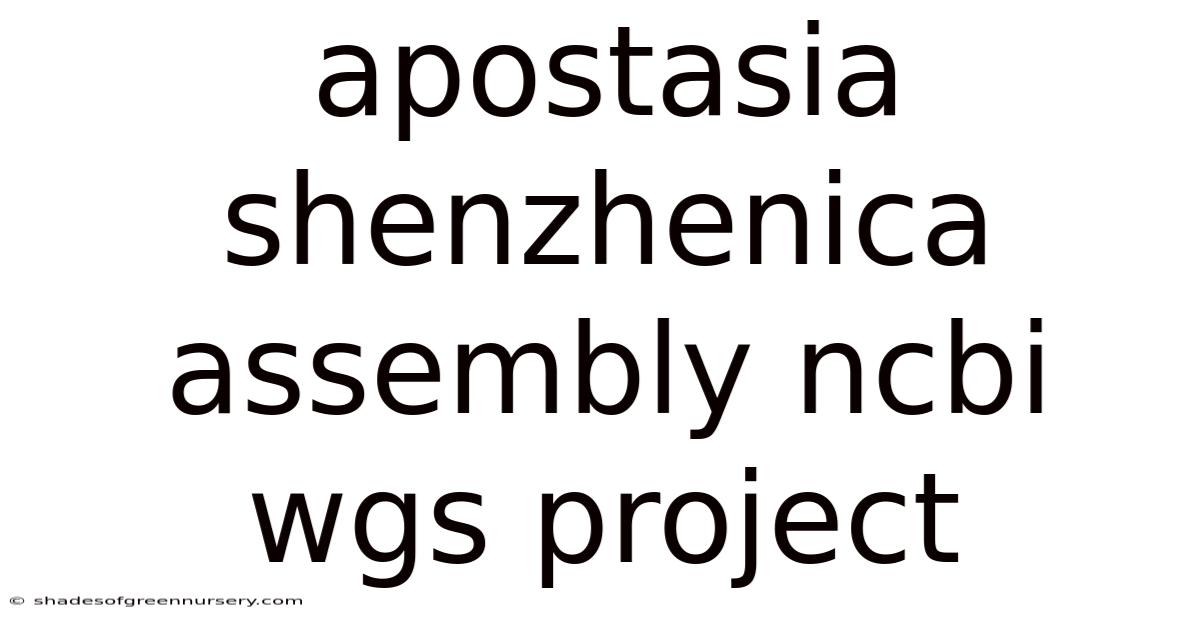 Apostasia Shenzhenica Assembly Ncbi Wgs Project