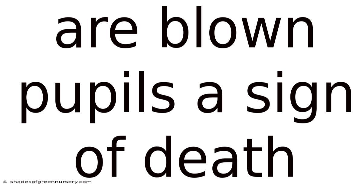 Are Blown Pupils A Sign Of Death