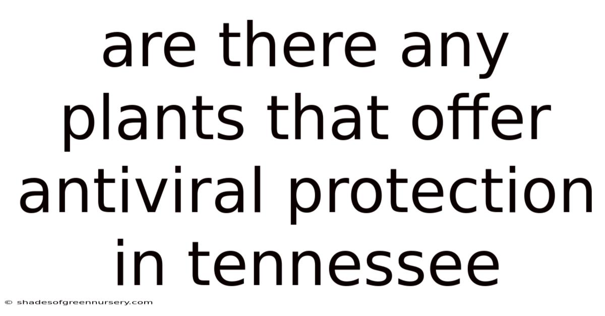 Are There Any Plants That Offer Antiviral Protection In Tennessee
