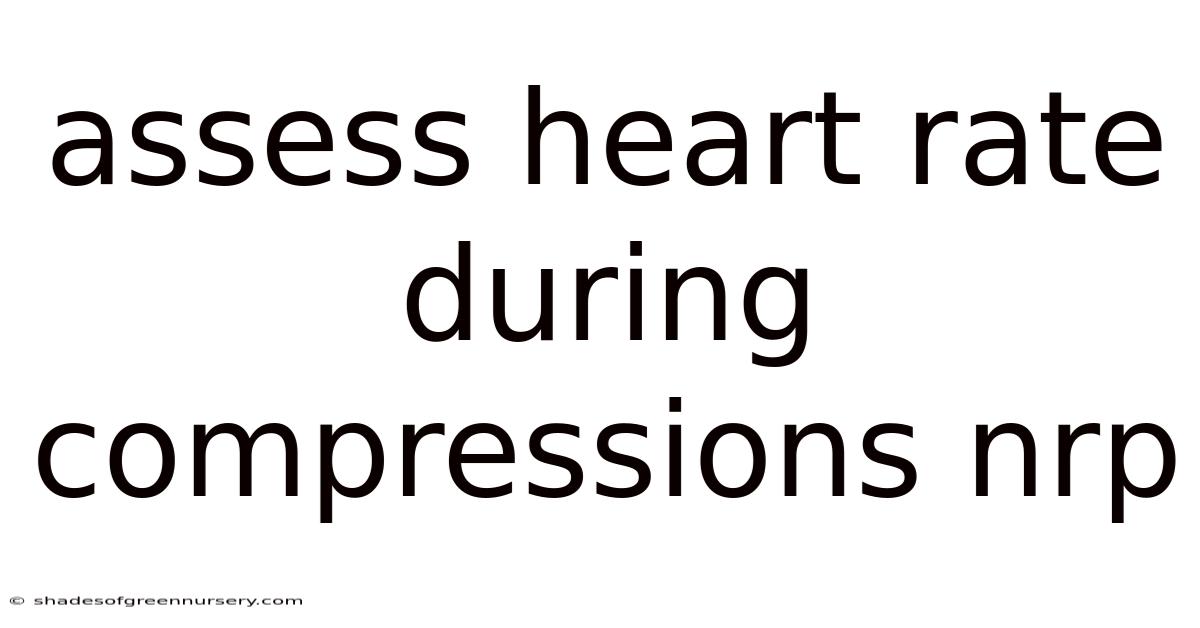 Assess Heart Rate During Compressions Nrp