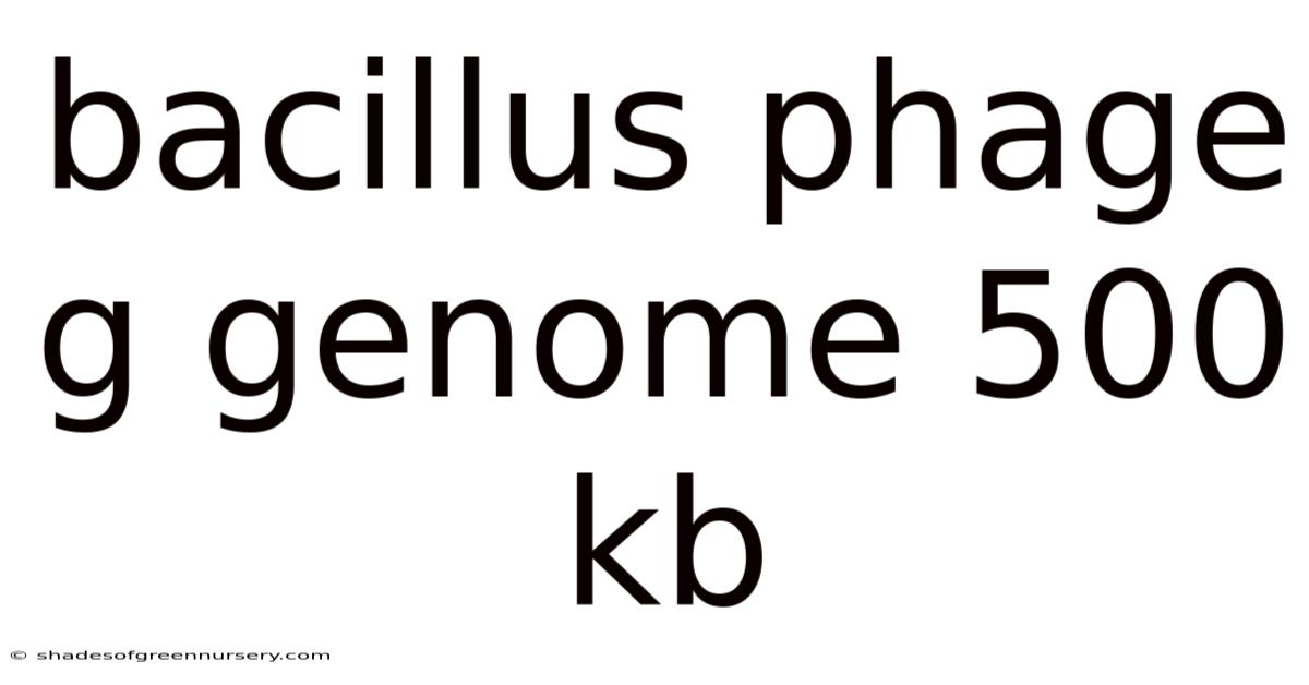 Bacillus Phage G Genome 500 Kb