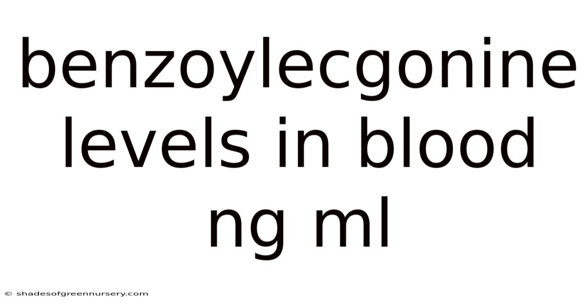 Benzoylecgonine Levels In Blood Ng Ml