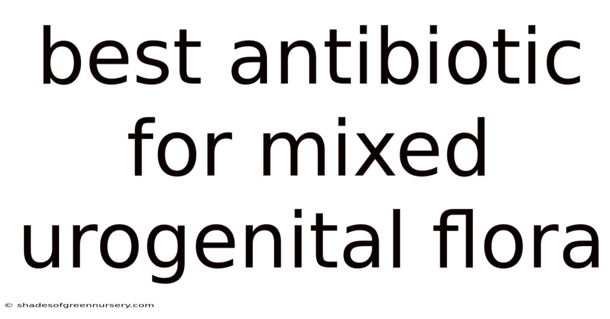 Best Antibiotic For Mixed Urogenital Flora