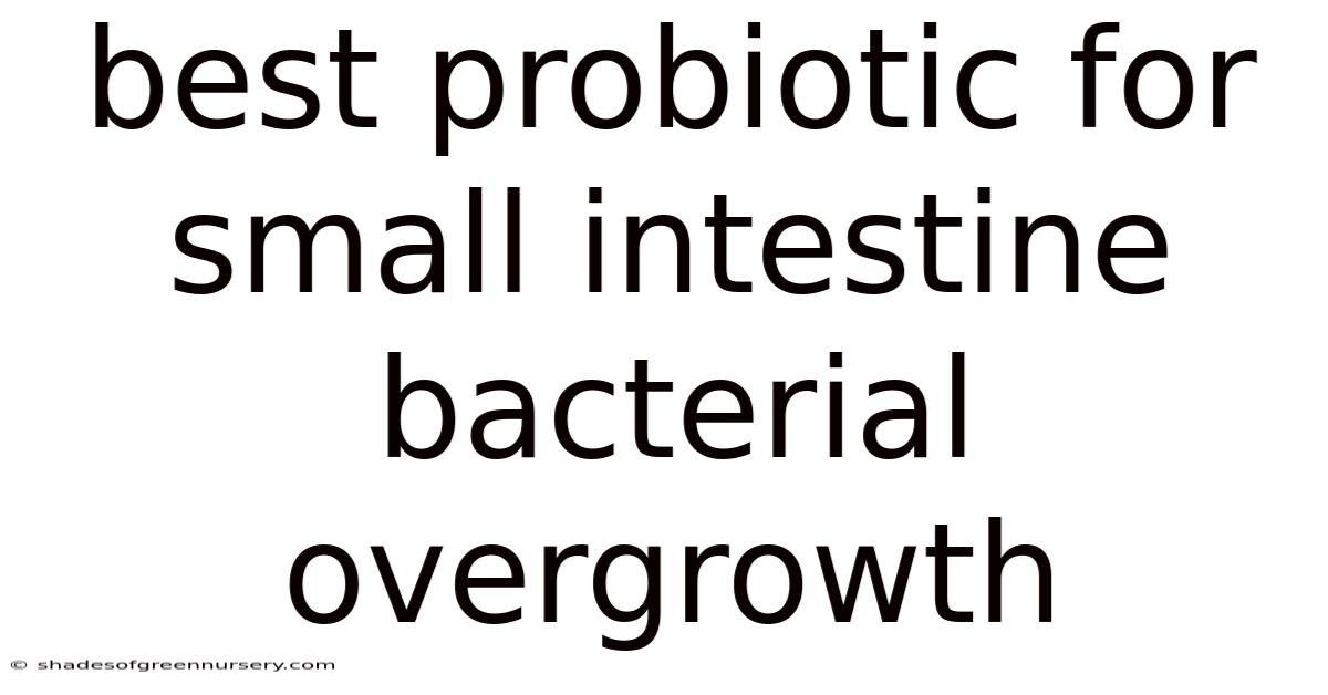 Best Probiotic For Small Intestine Bacterial Overgrowth