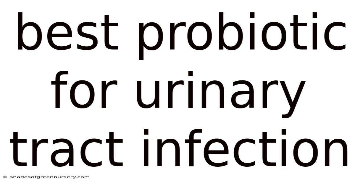 Best Probiotic For Urinary Tract Infection