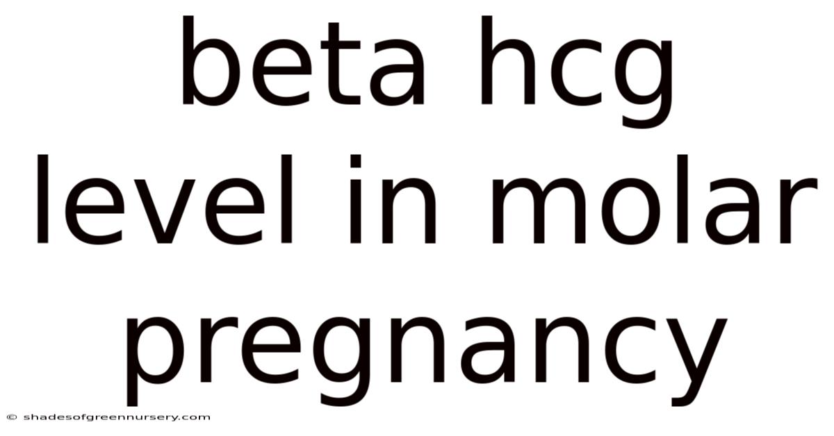 Beta Hcg Level In Molar Pregnancy