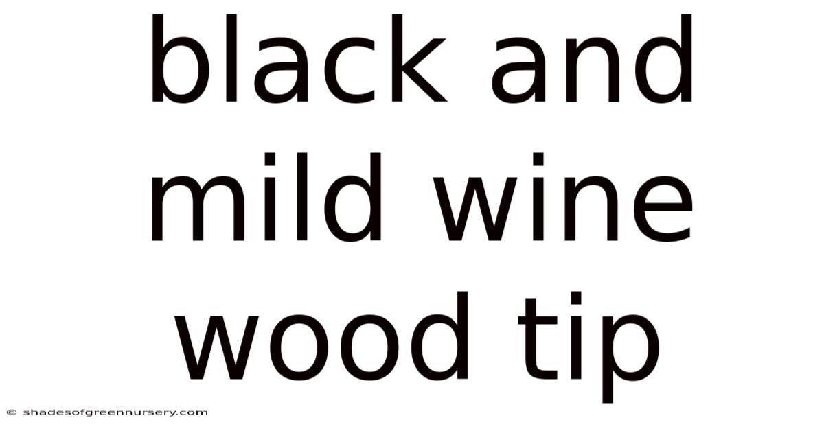 Black And Mild Wine Wood Tip