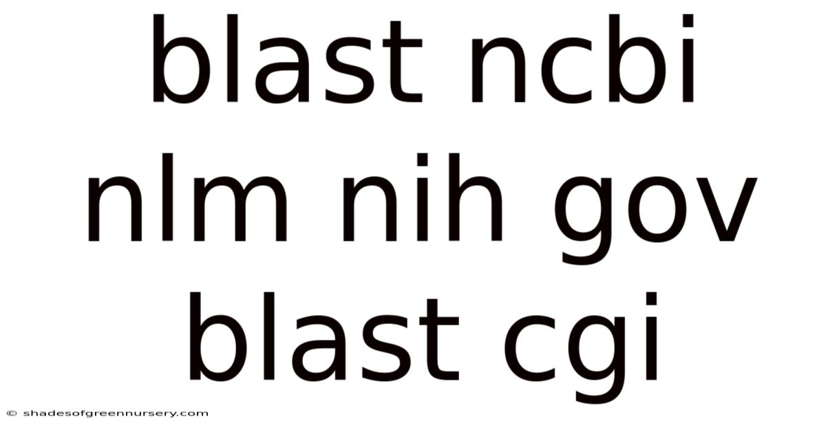 Blast Ncbi Nlm Nih Gov Blast Cgi