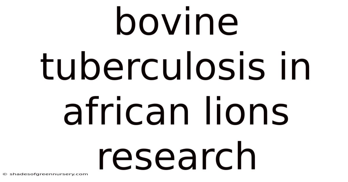 Bovine Tuberculosis In African Lions Research