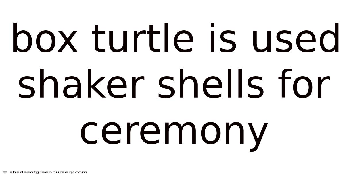 Box Turtle Is Used Shaker Shells For Ceremony