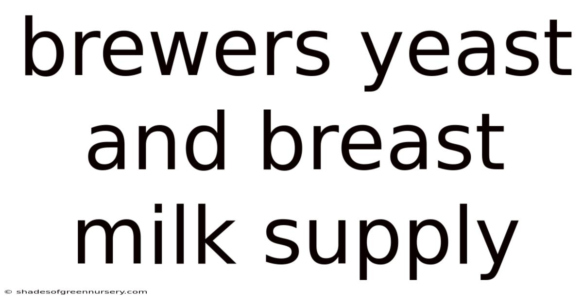 Brewers Yeast And Breast Milk Supply