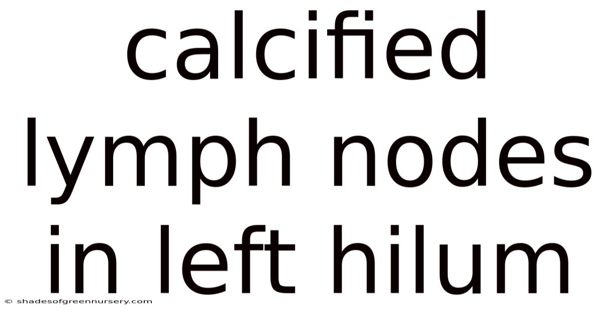 Calcified Lymph Nodes In Left Hilum
