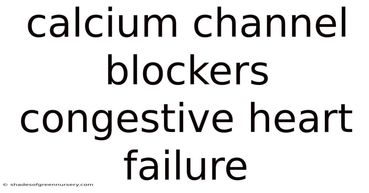 Calcium Channel Blockers Congestive Heart Failure