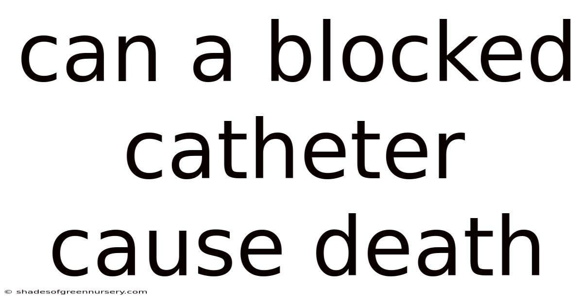 Can A Blocked Catheter Cause Death