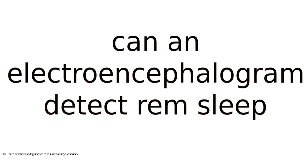 Can An Electroencephalogram Detect Rem Sleep