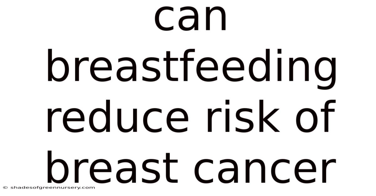Can Breastfeeding Reduce Risk Of Breast Cancer