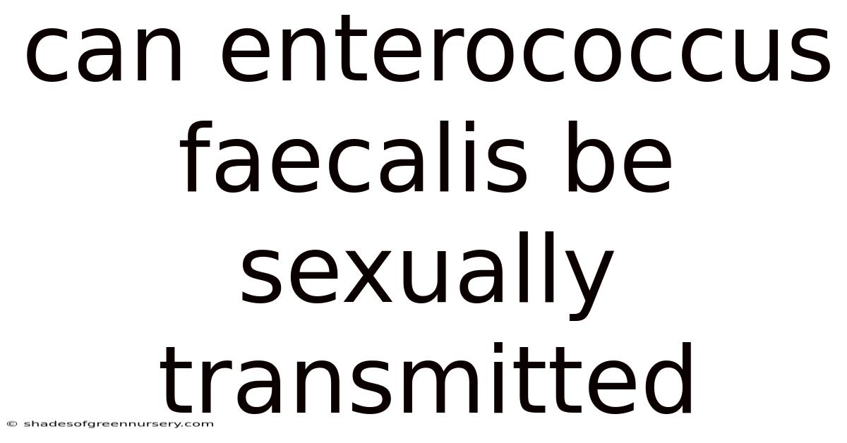 Can Enterococcus Faecalis Be Sexually Transmitted