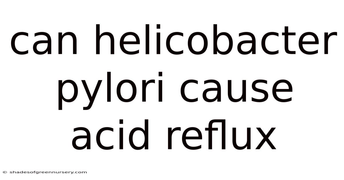 Can Helicobacter Pylori Cause Acid Reflux