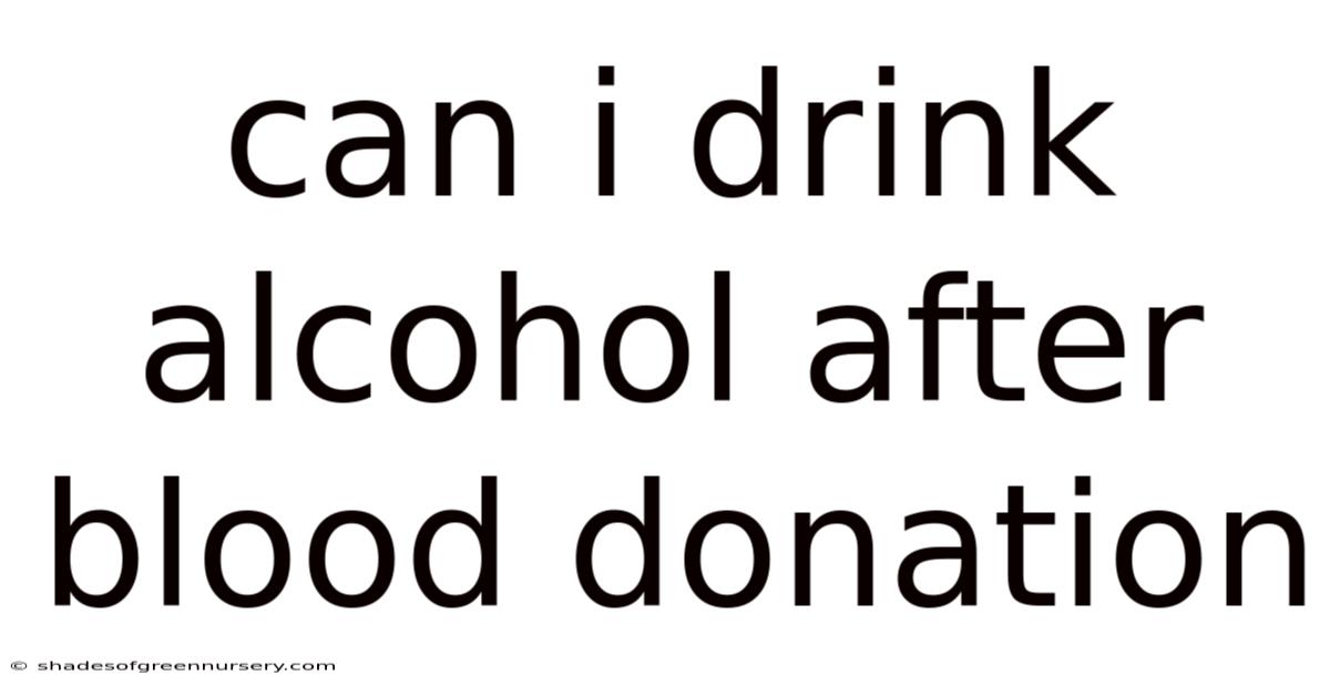 Can I Drink Alcohol After Blood Donation
