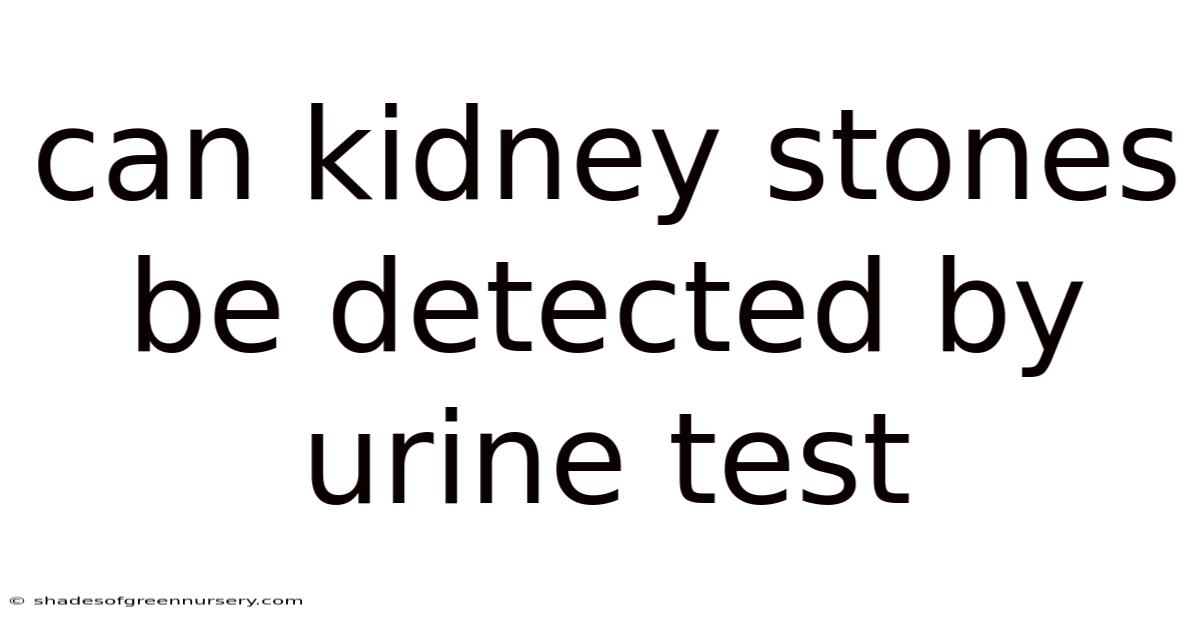 Can Kidney Stones Be Detected By Urine Test