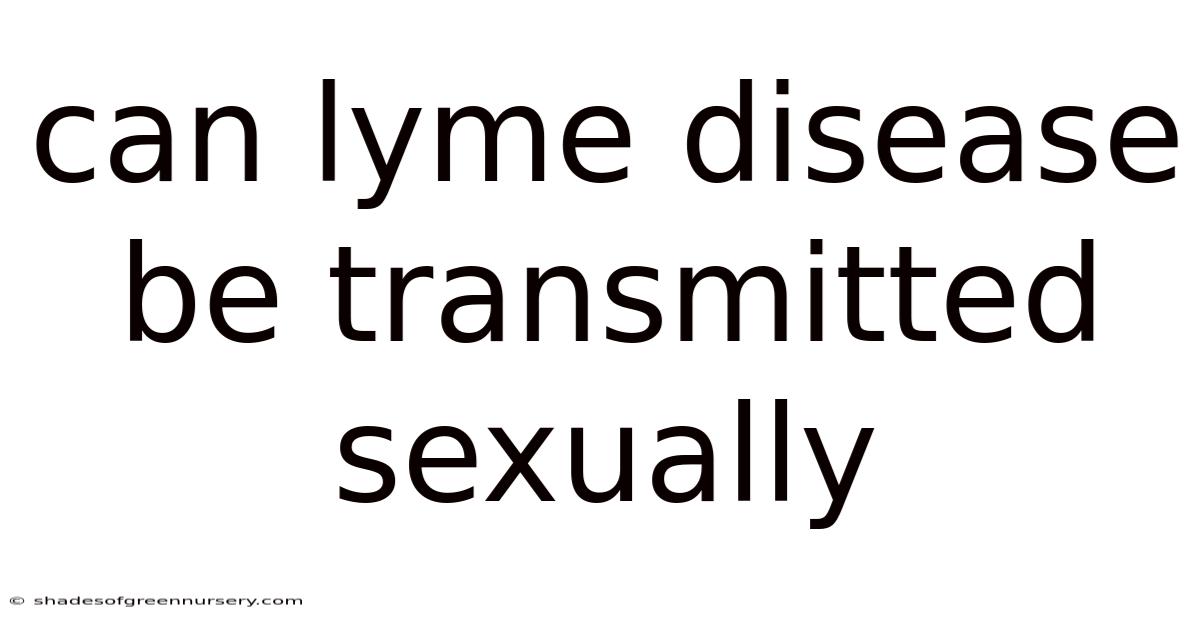 Can Lyme Disease Be Transmitted Sexually