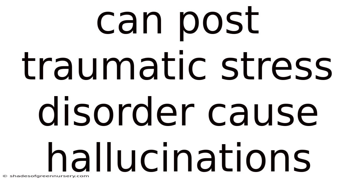 Can Post Traumatic Stress Disorder Cause Hallucinations