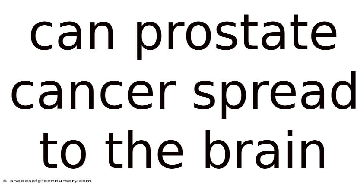 Can Prostate Cancer Spread To The Brain