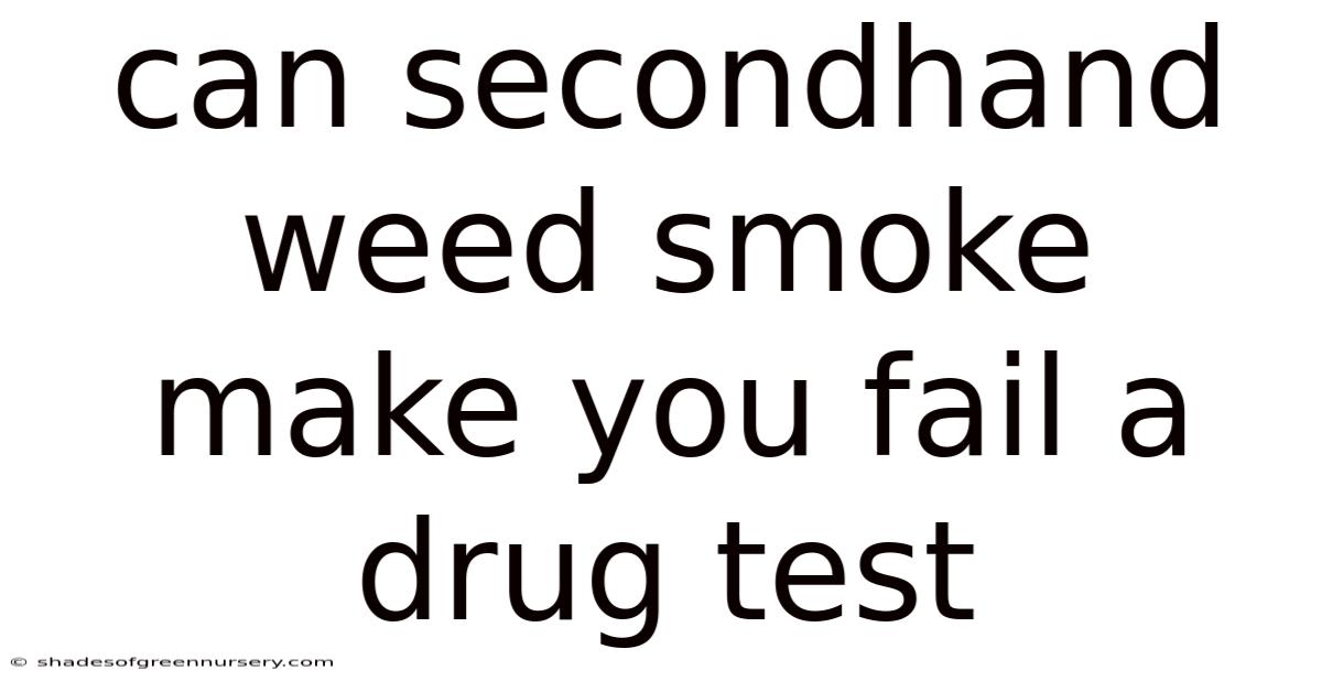 Can Secondhand Weed Smoke Make You Fail A Drug Test