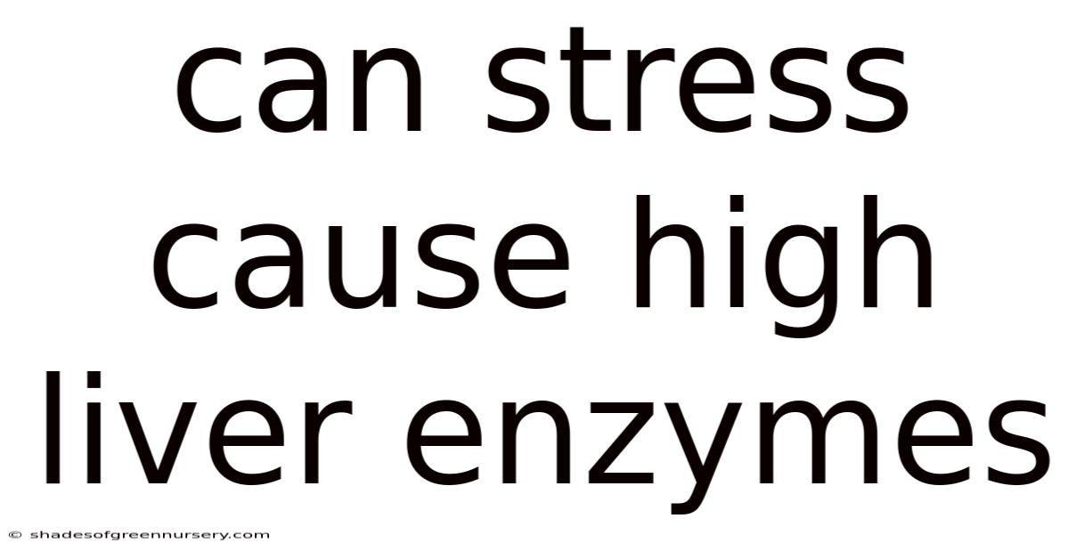 Can Stress Cause High Liver Enzymes